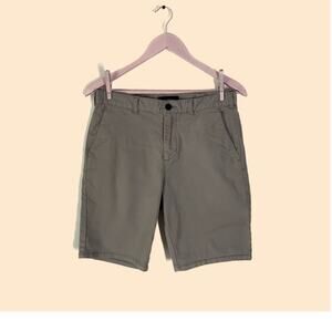 Pacsun Shorts Size 30